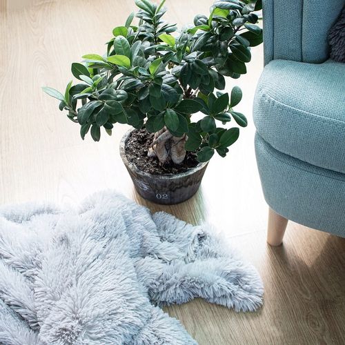 KOC WŁOCHACZ NARZUTA NA ŁÓŻKO PLED MIĘKKI GRUBY CIEPŁY 220x240 cm SZARY na Arena.pl