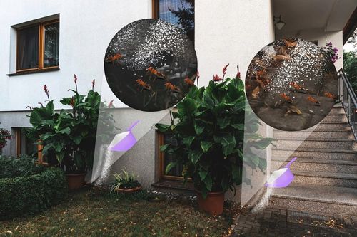 SILNY PROSZEK ŚRODEK PREPARAT NA MRÓWKI GNIAZDA MRÓWEK MROWISKA 1KG EFFECT na Arena.pl