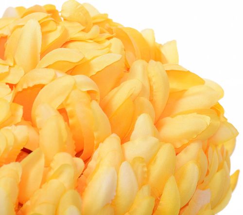 Chryzantema wyrobowa sunny yellow na Arena.pl