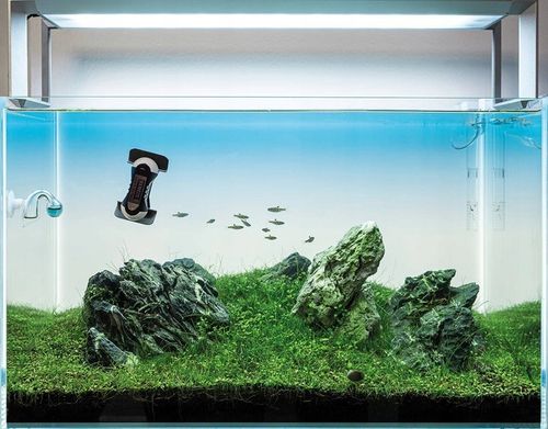 Tunze 0220.010 Care Magnet Nano na Arena.pl