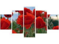 80CM 150CM OBRAZ 5 ELEM MAKI DUNCAN ŚCIENNY