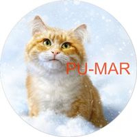 Opłatek na tort KOT Kotek Kotki Kiciuś Kocur Miluśiński Tekst Gratis