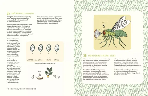 Książka edukacyjna dla dziecka - 321 intrygujących faktów o zwierzętach na Arena.pl