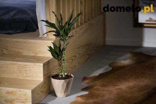 DONICZKA DELTA 200 A2 na Arena.pl