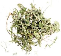 Wio-Mar Mniszek Lekarski 150G