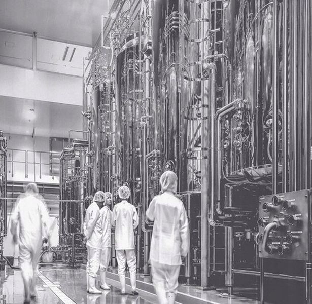 KOGEN | Oligo-Elite | odchudzanie POLIFENOLE | 30 kaps. x2 | dwu (2) PACK zdjęcie 2