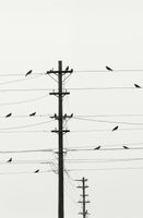 product-compare-59357608