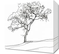 Obraz 30x30cm Drzewo w Zarysie