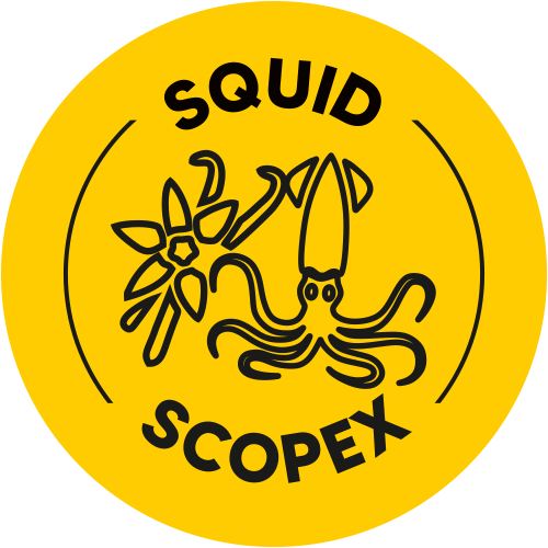 Optimal Baits Dumbells Pop Up SQUID & SCOPEX 10mm na Arena.pl