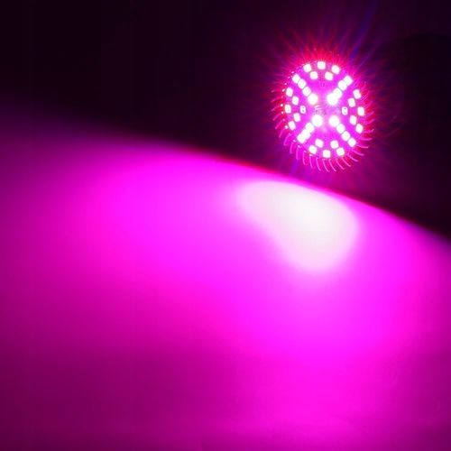 Mocna Żarówka Led E27 Grow 40 W Do Uprawy Roślin na Arena.pl