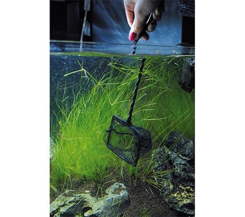 Siatka Akwariowa N-04 na Arena.pl