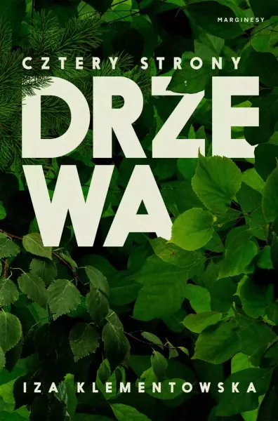 Cztery strony drzewa zdjęcie 1