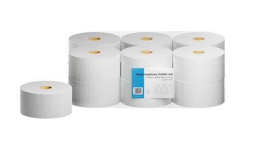 Papier Toaletowy Duży Jumbo 100M 2W Celuloza 12Szt na Arena.pl