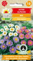 Aster alpejski mix nasiona 0,5 g.