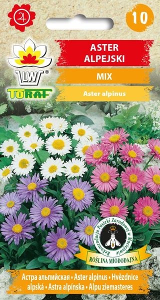 Aster alpejski mix nasiona 0,5 g. zdjęcie 1