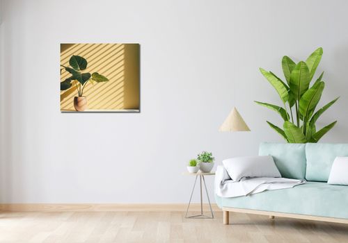 Obraz 70x60cm Złota Poświata na Arena.pl