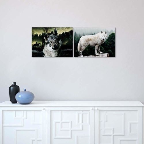Obraz na płótnie – Canvas, Biały wilk 60x40 na Arena.pl