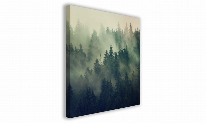 OBRAZ NA PŁÓTNIE 027 Gęsty las 70x70cm zdjęcie 1