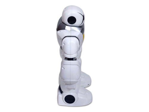 Interaktywny zdalnie sterowany Robot na Arena.pl