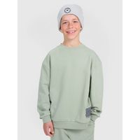 Bluza 4F JUNIOR 4FJRAW25TSWSM2448-44S 140