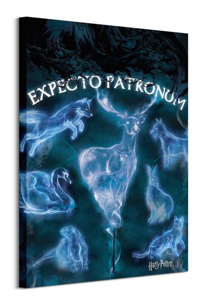Harry Potter (Patronus) - obraz na płótnie 60x80 cm zdjęcie 1