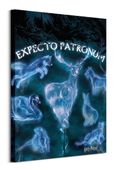 Harry Potter (Patronus) - obraz na płótnie 60x80 cm