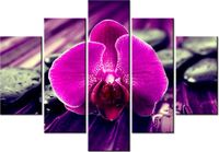 105CM 150CM OBRAZ 5 ELEM FIOLETOWE SPOJRZENIE DRUK