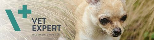 Vetexpert KalmVet ADVANCED TwistOff objawy stresu pies / kot 60 kapsułek na Arena.pl