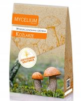 KOŹLARZE certyfikowana grzybnia grzyby leśne Mycelium