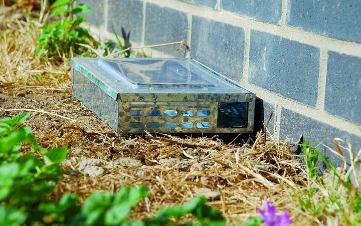 Pułapka Na Myszy Szczury Gryzonie Łapka Żywołapka Myszołapka Humanitarna zdjęcie 16