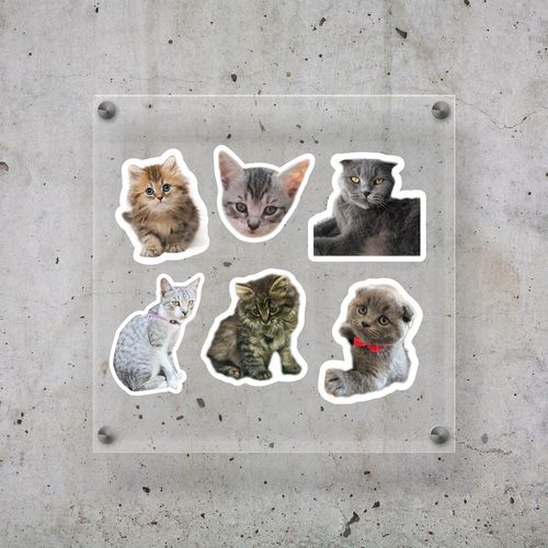 Naklejki na rower bidon kask KOTY na Arena.pl