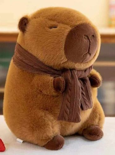 Kapibara koc Przytulanka kocyk Zestaw 3w1 Maskotka kapibara z kocem na Arena.pl