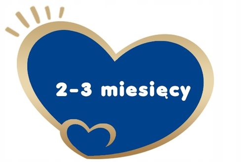 BEBIKO PRO+ 1 MLEKO POCZĄTKOWE 0-6m 700g na Arena.pl