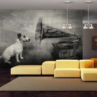Fototapeta - Dog's melodies 350x270