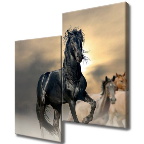 Obraz Tryptyk 60X60 Ogier na Arena.pl