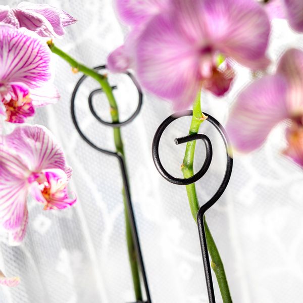 PODPÓRKA PODPORA DO STORCZYKÓW ROŚLIN 10szt 50cm zdjęcie 7