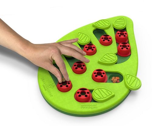 Nina Ottosson Cat Buggin' Out Puzzle & Play na Arena.pl