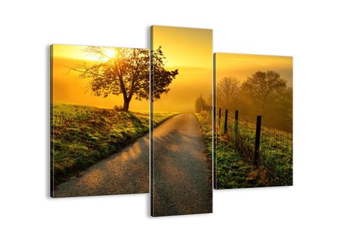 Obraz Na Płótnie - Droga Pole Łąka - 95X80 Cm - Cb95X80-3851 na Arena.pl