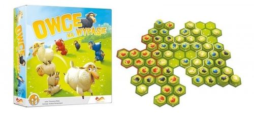 Owce na wypasie na Arena.pl