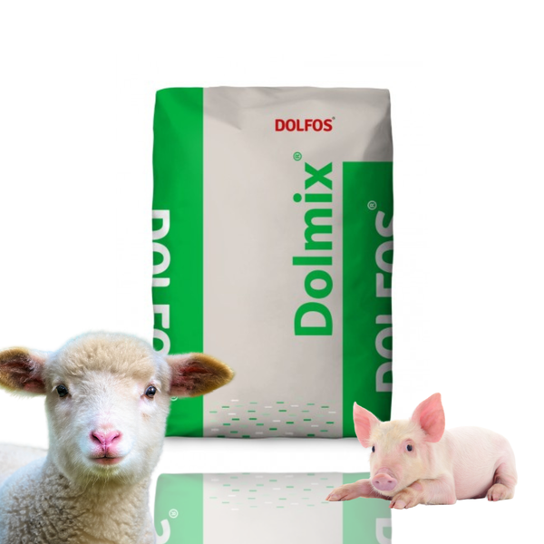 Torovit BD drożdże wit B owce kozy 10kg Dolfos zdjęcie 1