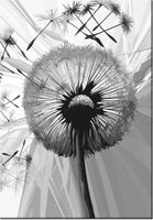 product-compare-58711923