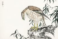 Plakat 60x40cm Osprey, Kashu Japoński Vintage do Salonu