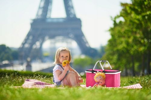 Kosz piknikowy termiczny koszyk piknikowy składany biwakowy zakupy ZAGATTO na Arena.pl