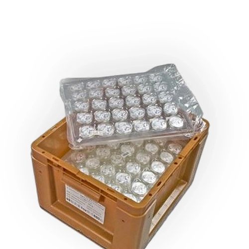 Chińska Panda 30 gramów Srebra 2026 na Arena.pl