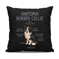 Anatomia border collie - czarna poduszka na prezent z pieskiem