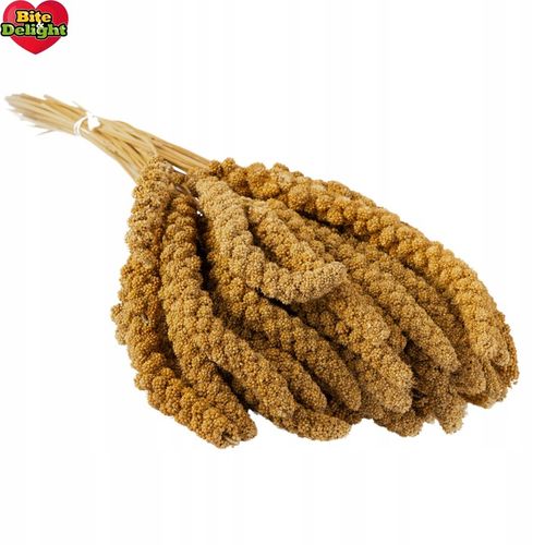 PROSO SENEGALSKIE BIAŁE 1KG CZYSTE DUŻE KŁOSY DLA PTAKÓW PAPUG ECO PACK na Arena.pl