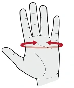 ZESTAW NOŻYCE DO ŻYWOPŁOTU + SEKATOR + 4x RĘKAWICE na Arena.pl