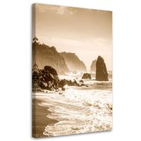 Obraz do salonu sypialni biura, Pejzaż morski sepia klif skały