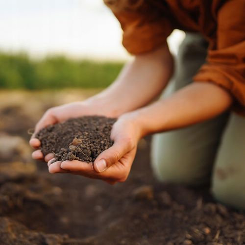 Wapno Ogrodowe Nawozowe Idealne Do Warzyw Owoców JESIEŃ Dolomit Sypki na Arena.pl