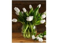 product-compare-58650391